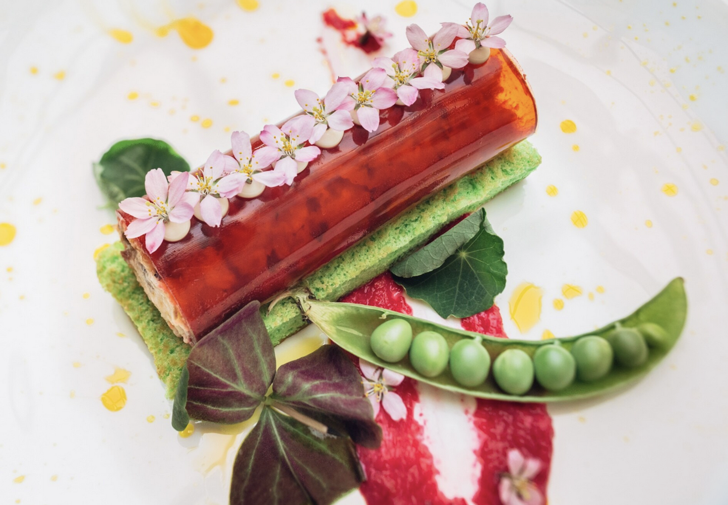 pflanzlich und köstlich und proteinreich